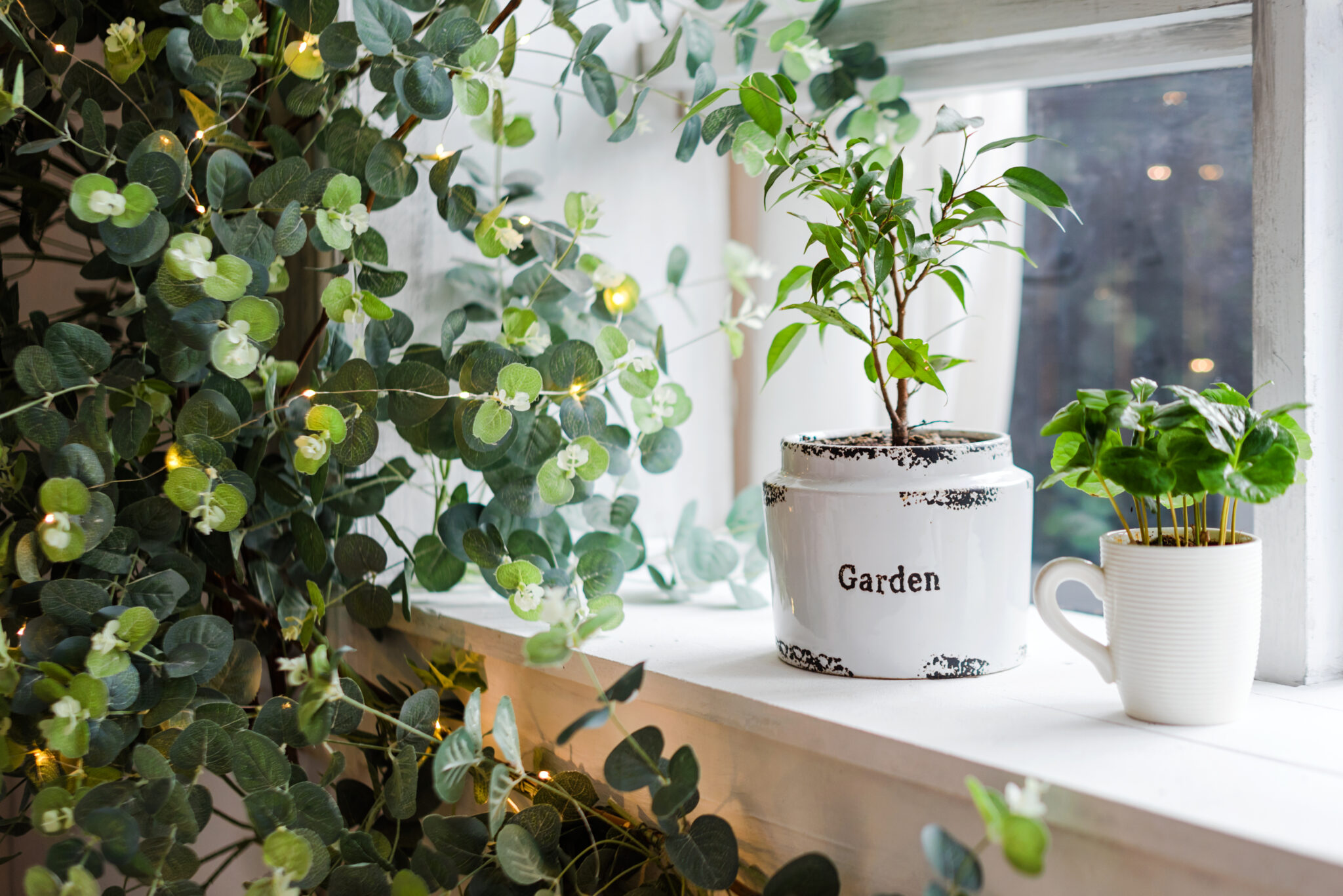 窓辺に並ぶ鉢植えの観葉植物